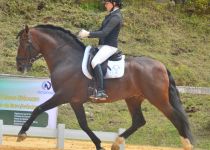 armas tarugo, de y. el cedro, subcampeon absoluto de funcionalidad